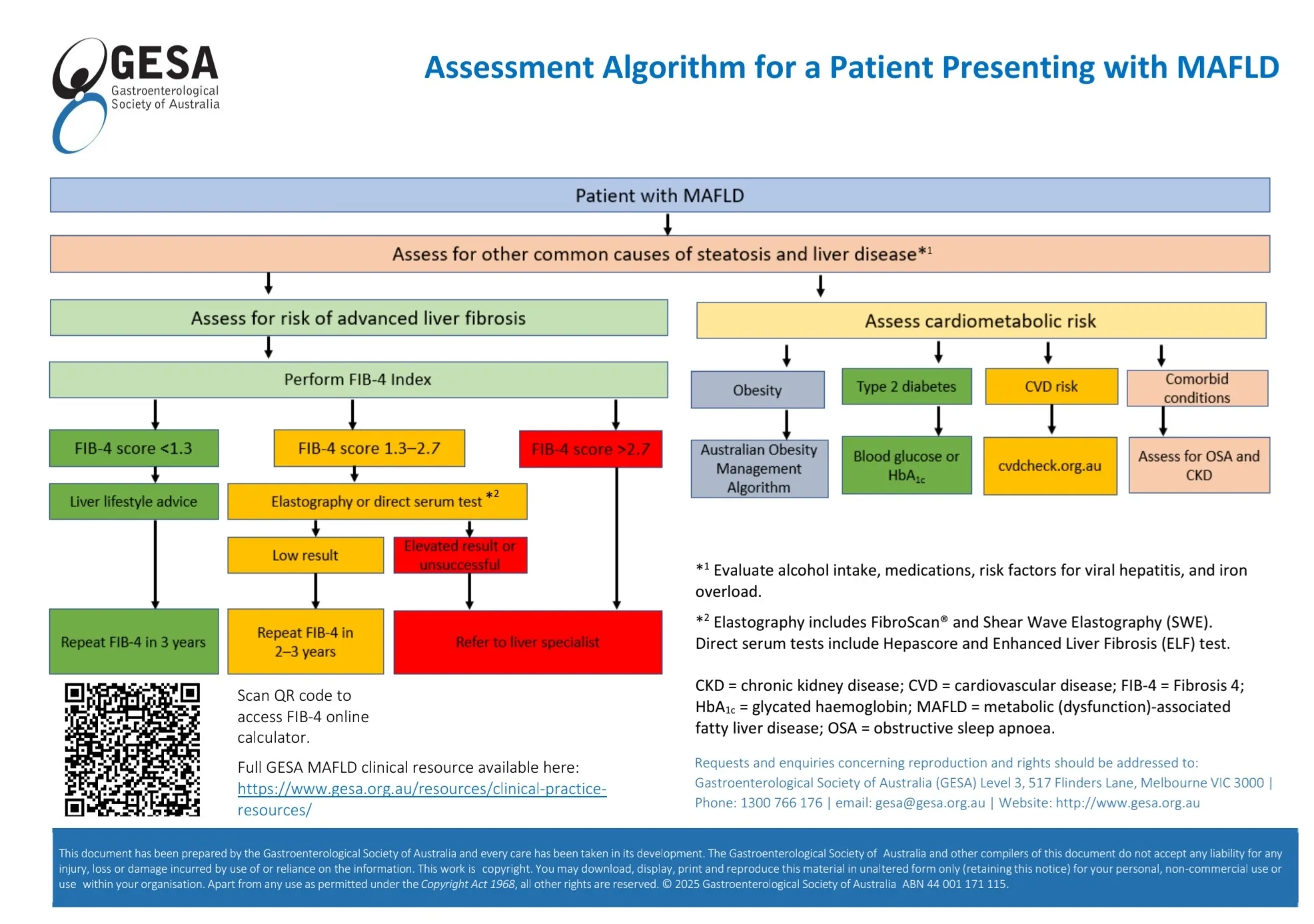 GESA assessment algorithm for a patient presenting with MAFLD: FIB-4-based fibrosis risk stratification alongside cardiometabolic risk assessment for obesity, type 2 diabetes, cardiovascular disease, and comorbid OSA/CKD