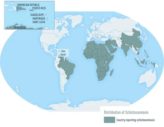 Distribution of schistosomiasis
