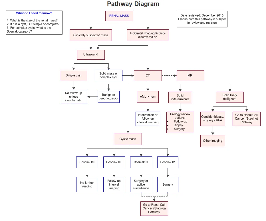RCC investigation/management pathway