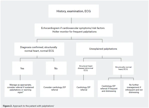 Approach to palpitations: history, examination, ECG for everyone; echo if cardiovascular symptoms/risk factors, Holter if frequent; if diagnosis confirmed with structurally normal heart and normal ECG → manage as appropriate, refer only if sustained/warning signs; if unexplained → refer if structural heart disease or abnormal ECG, refer if frequent/distressing, otherwise manage conservatively