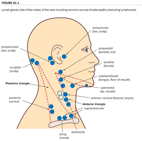 Neck examination
