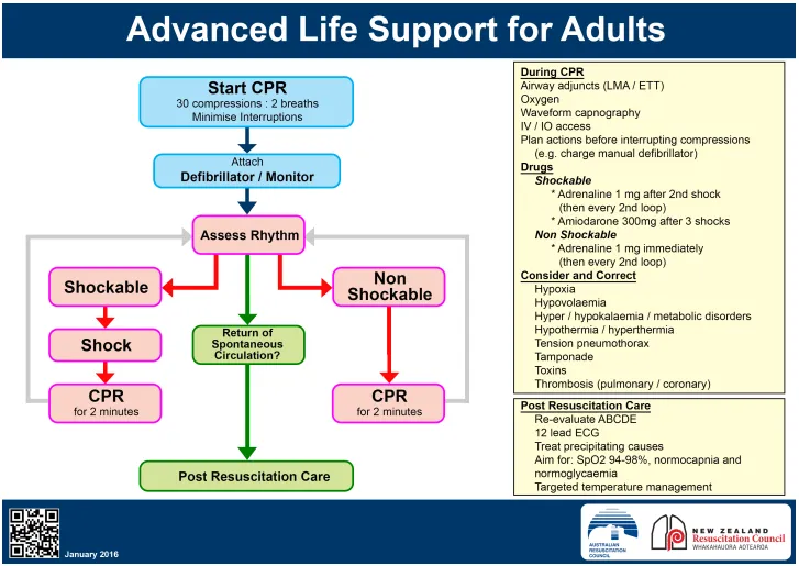 Advanced Life Support for Adults — start CPR, attach defibrillator/monitor, assess rhythm; shockable vs non-shockable pathways to return of spontaneous circulation and post-resuscitation care