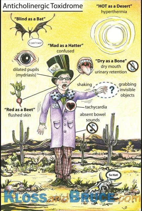 Anticholinergic Toxidrome • LITFL • Toxicology Flashcard Library