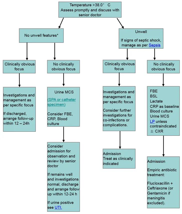 Febrile infant assessment flowchart