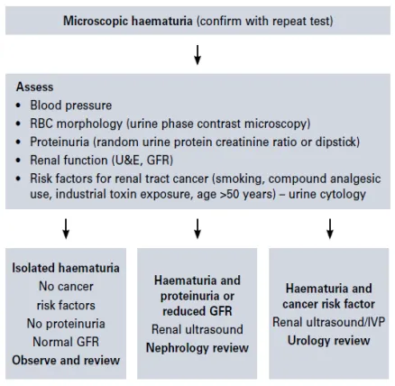 Risk-stratified haematuria investigation pathway